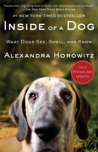 Inside of a Dog