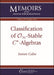 Classification of $\mathcal {O}_\infty $-Stable $C^*$-Algebras
