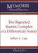 The Bigraded Rumin Complex Via Differential Forms