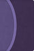 CSB Rainbow Study Bible, Purple Leathertouch (Limited Edition)