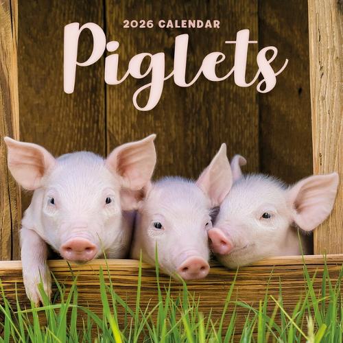 2026 Piglets Mini Wall Calendar