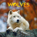 2026 Wolves Mini Wall Calendar