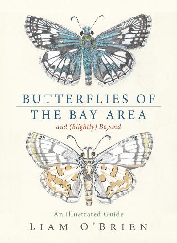 Butterflies of the Bay Area and (Slightly) Beyond