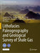 Lithofacies Paleogeography and Geological Survey of Shale Gas