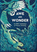 Awe and Wonder