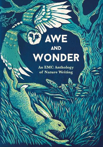 Awe and Wonder