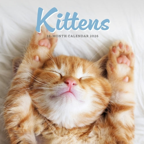 Kittens