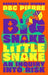 Big Snake Little Snake