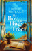 The Boy Who Hugs Trees
