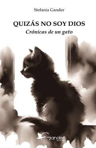 Quizás No Soy Dios