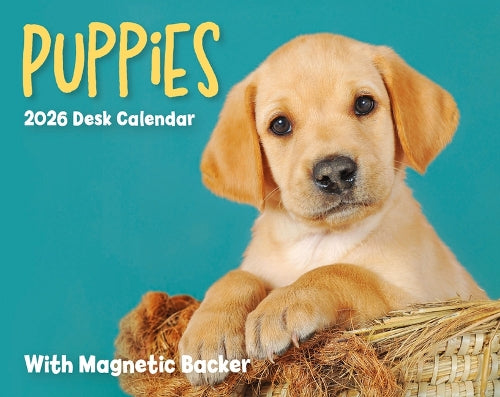2026 Puppies Mini Box Calendar