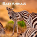 Baby Animals 2026 7 X 14 Inch (Hanging) Monthly Mini Wall Calendar