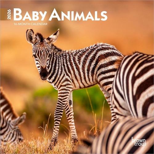 Baby Animals 2026 7 X 14 Inch (Hanging) Monthly Mini Wall Calendar