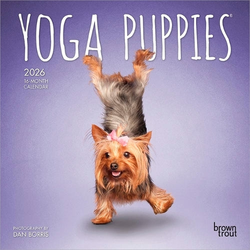 Yoga Puppies Official 2026 7 X 14 Inch (Hanging) Monthly Mini Wall Calendar