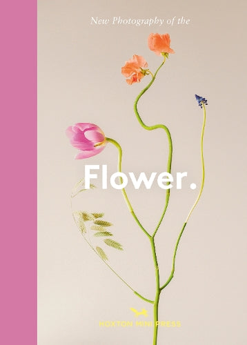 Flower.
