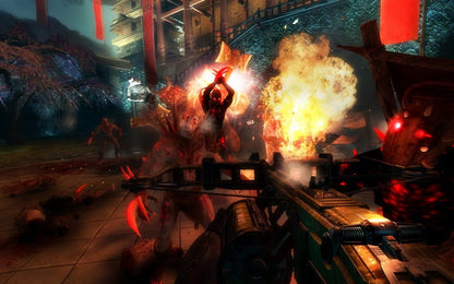 SHADOW WARRIOR