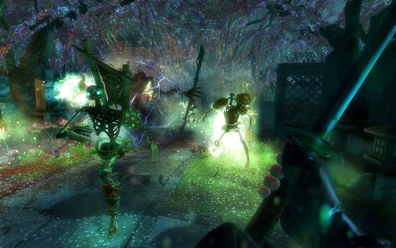 SHADOW WARRIOR