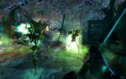 SHADOW WARRIOR