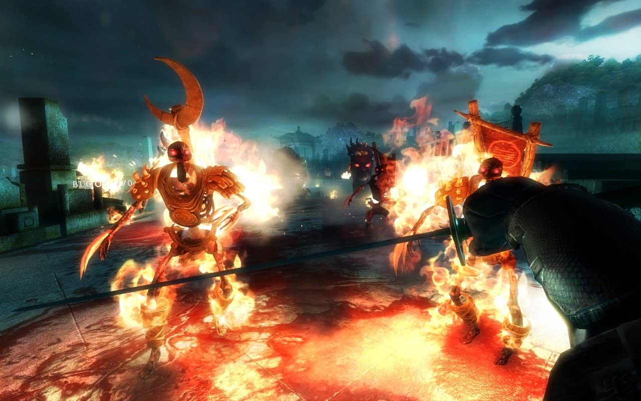 SHADOW WARRIOR