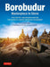 Borobudur: Masterpiece in Stone