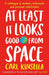 At Least It Looks Good From Space