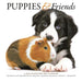 Puppies & Friends