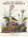 Audubon's Birds of America DLX