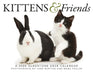 Kittens & Friends
