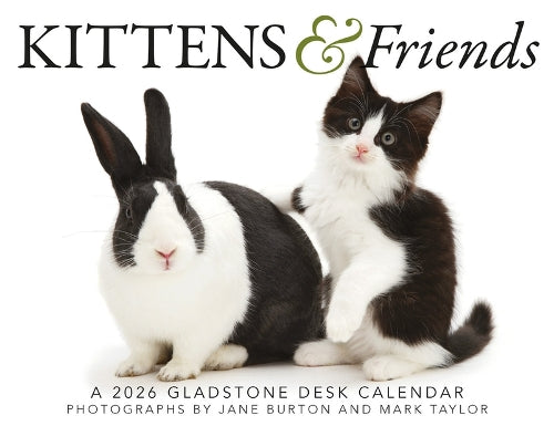Kittens & Friends