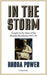 IN THE STORM