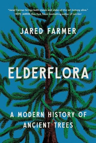 Elderflora