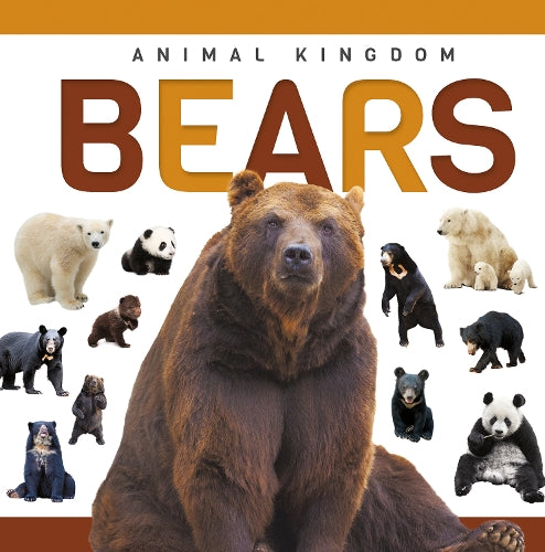 Bears (Genius Kid: Animal Kingdom