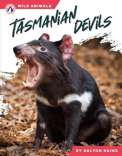 Tasmanian Devils (Wild Animals Set 2