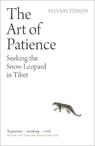 The Art of Patience