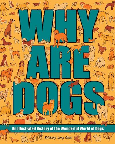 Why Are Dogs