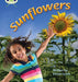 Bug Club Phonics - Phase 5 Unit 20: Sunflowers