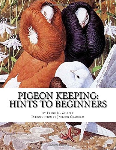 Pigeon Keeping