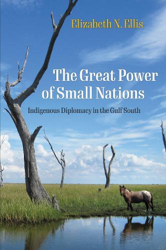 The Great Power of Small Nations