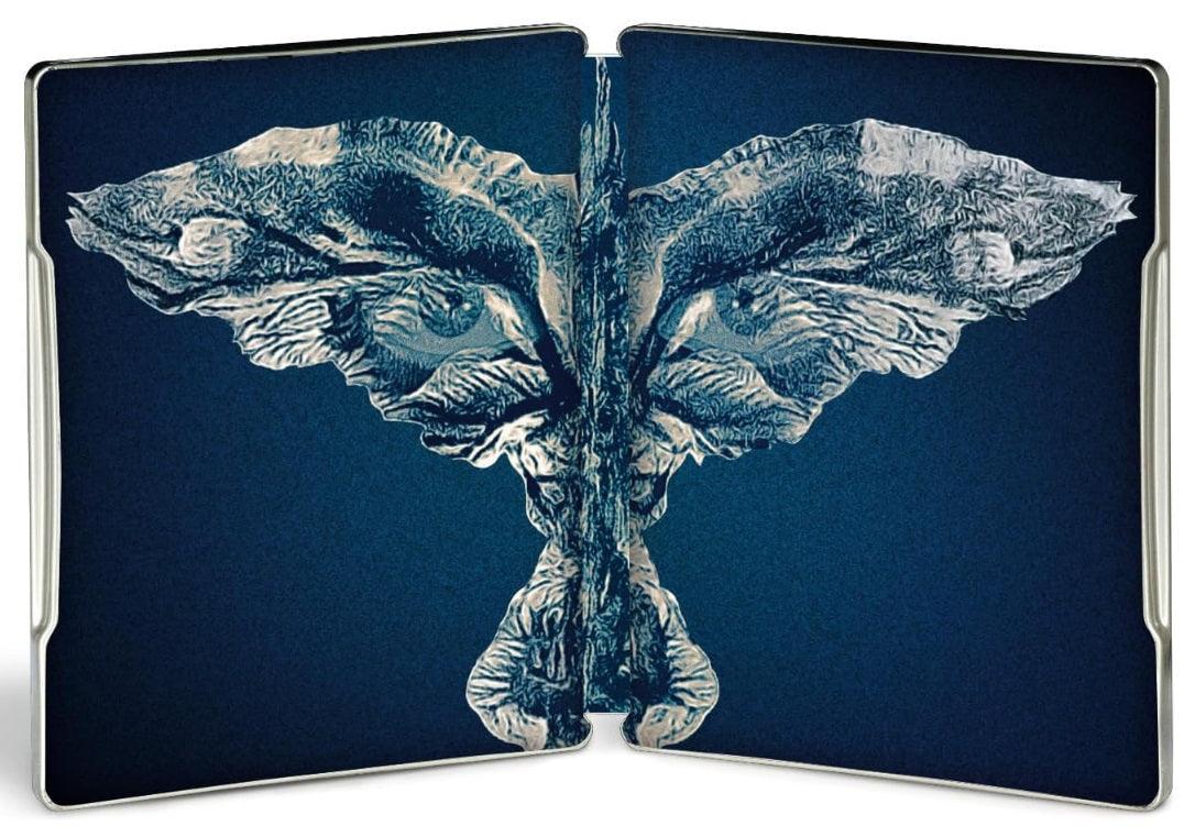 The Crow Limited Steelbook