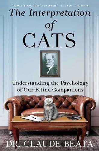 The Interpretation of Cats