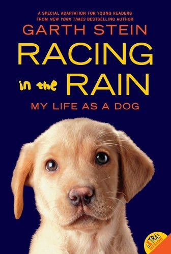 Racing in the Rain