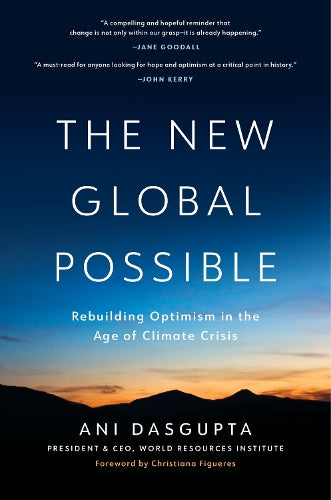The New Global Possible