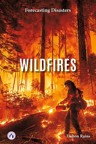 Wildfires