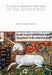 A Cultural History of Fairy Tales in the Middle Ages
