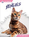 Bengals