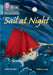 Sail at Night