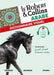 Le Robert et Collins Dictionnaire Visuel Arabe