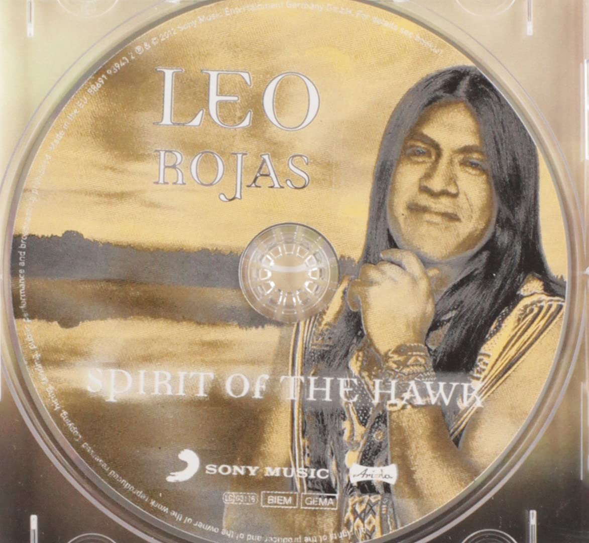 Spirit of the Hawk