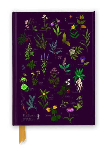 Anna Stead: For Spells & Potions (Foiled Journal) (Flame Tree Notebooks