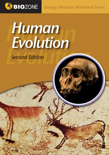 Human Evolution